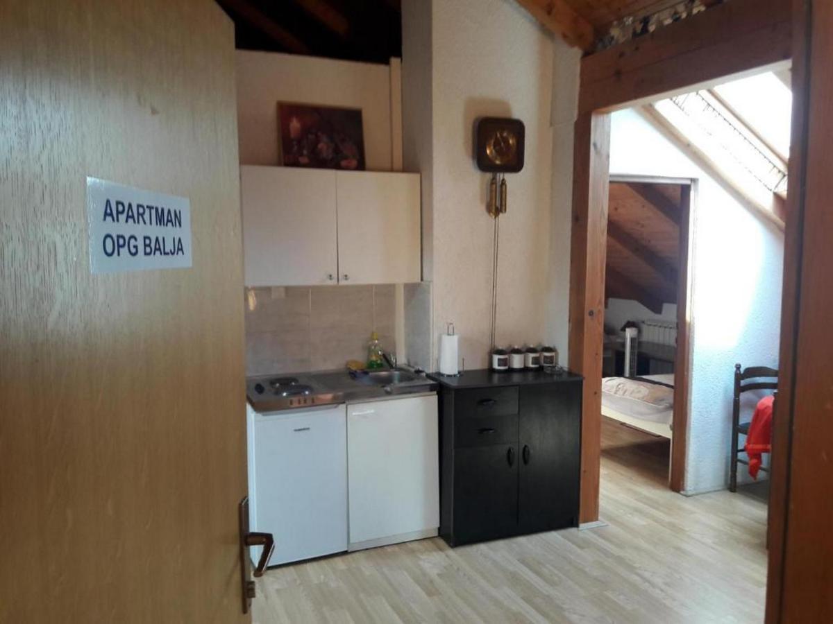 Apartman Opg Balja Garesnica Exterior foto